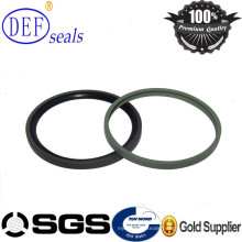 PTFE/Teflon Piston Seals Hydraulic Seals